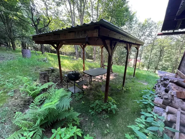 Dražba chaty, Těchonín, 17 m2
