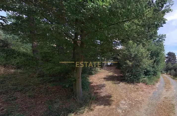 Prodej lesa, Prostějovičky, 1251 m2