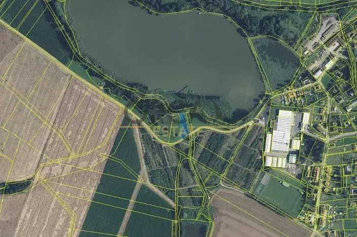 Prodej podílu louky, Třebařov, 292 m2