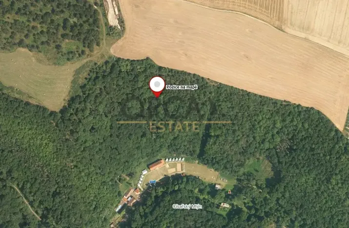 Prodej lesa, Malé Žernoseky, 7464 m2