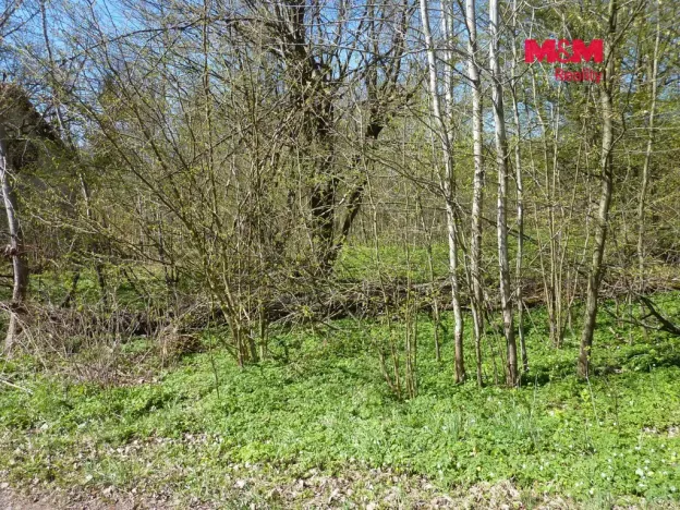 Prodej pozemku pro bydlení, Brzice, 1453 m2