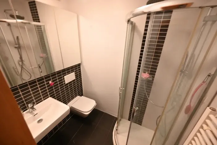 Pronájem bytu 1+1, Luhačovice, 30 m2