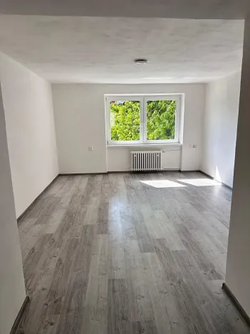 Pronájem bytu 2+1, Chomutov, Pionýrů, 65 m2