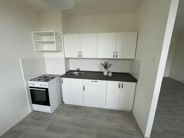Pronájem bytu 1+1, Litvínov, Bezručova, 42 m2