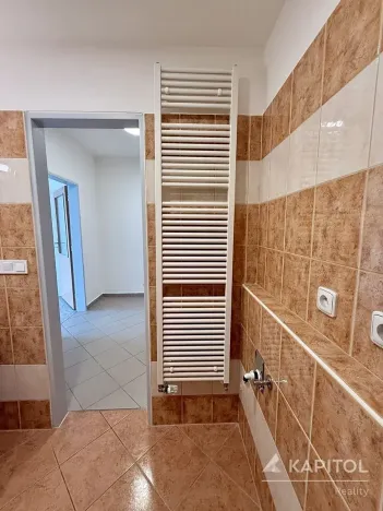 Pronájem bytu 1+kk, Brno, Vavřinecká, 41 m2