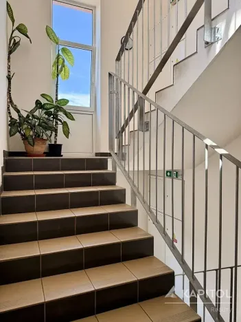 Pronájem bytu 1+kk, Brno, Vavřinecká, 41 m2