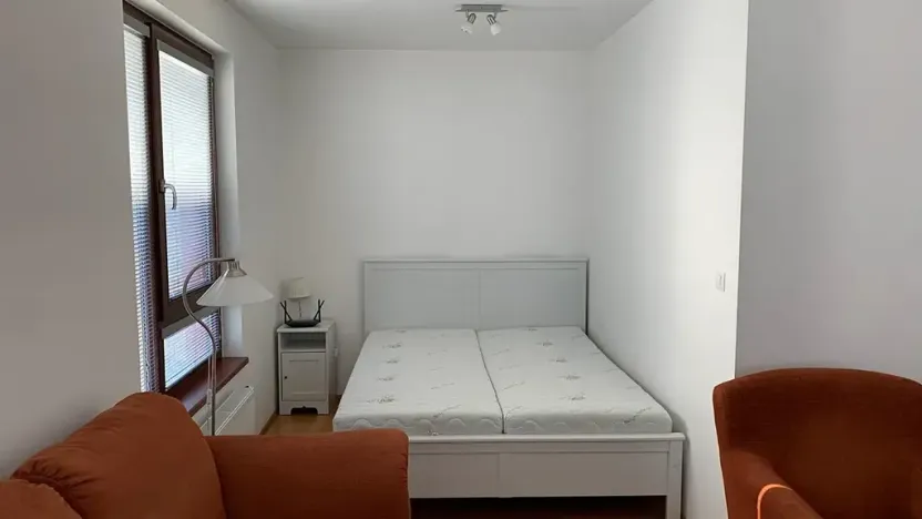 Pronájem bytu 1+kk, Praha - Žižkov, Baranova, 40 m2