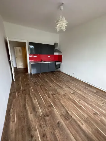 Pronájem bytu 2+kk, Praha - Žižkov, Hartigova, 54 m2
