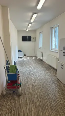 Pronájem výrobních prostor, Brno, 670 m2