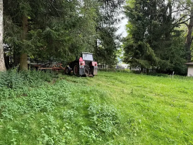 Dražba rodinného domu, Černá v Pošumaví, 235 m2