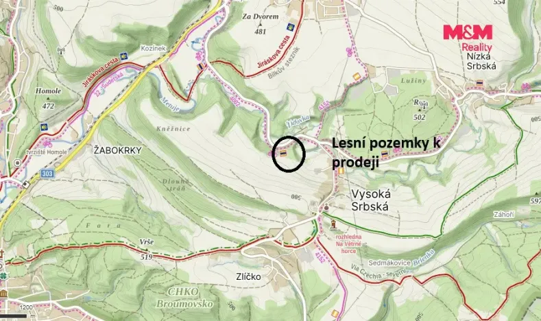 Prodej louky, Vysoká Srbská, 26000 m2