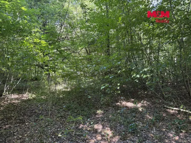 Prodej komerčního pozemku, Řepiště, 3402 m2