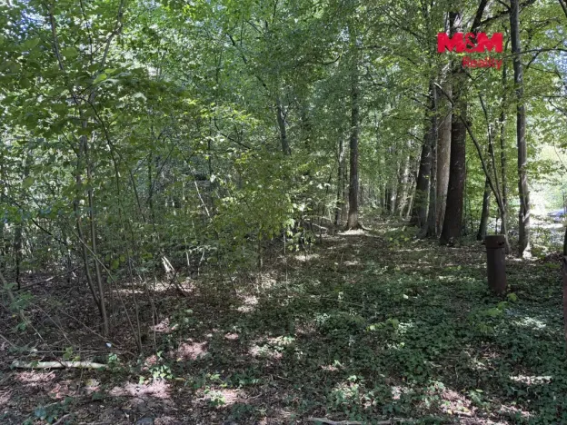 Prodej pozemku pro bydlení, Řepiště, 3402 m2