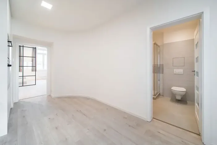 Prodej bytu 1+1, Brno, Cejl, 50 m2