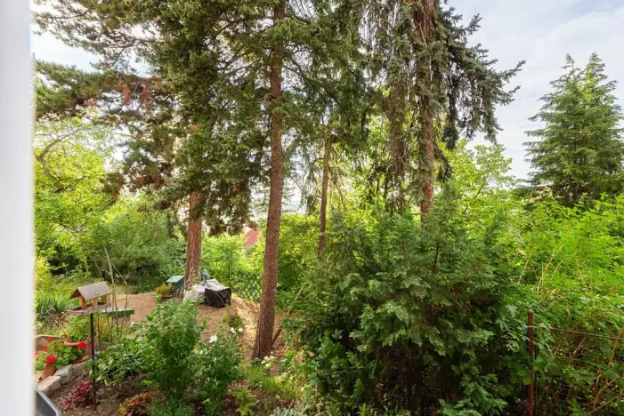 Pronájem bytu 2+kk, Praha - Podolí, Lopatecká, 50 m2