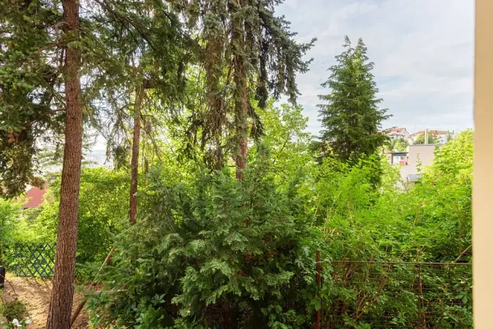 Pronájem bytu 2+kk, Praha - Podolí, Lopatecká, 50 m2