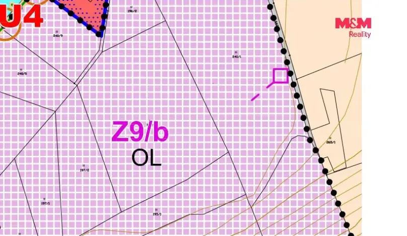 Prodej louky, Náchod, 13200 m2
