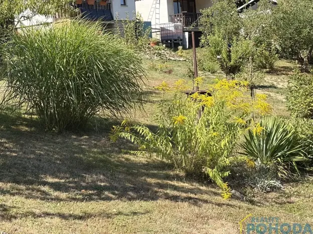 Prodej chaty, Vysoké Mýto, Spálenec, 37 m2