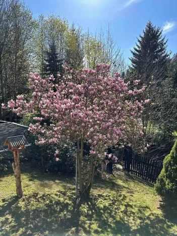 Prodej rodinného domu, Horní Bečva, 104 m2
