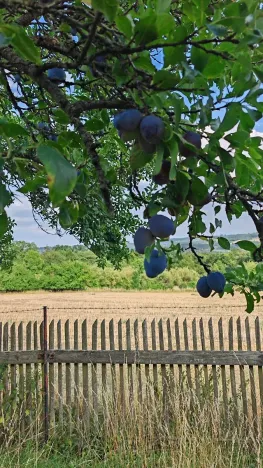 Prodej chaty, Žernovník, 40 m2