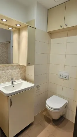 Prodej bytu 1+kk, Velké Meziříčí, Školní, 29 m2