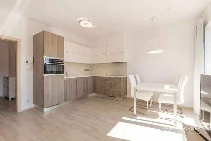 Pronájem bytu 1+kk, Brno, Kigginsova, 37 m2