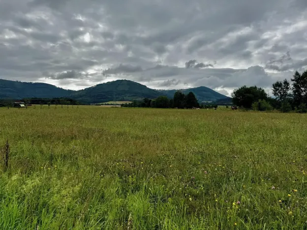 Prodej pozemku pro bydlení, Kozlovice, 4354 m2