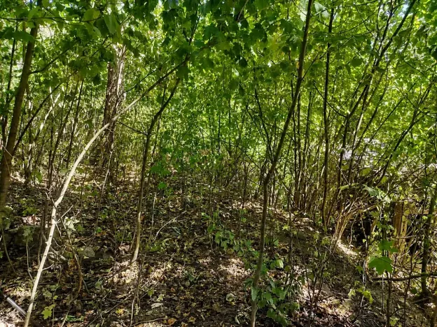 Prodej pozemku pro bydlení, Lom, Tyršova stezka, 888 m2
