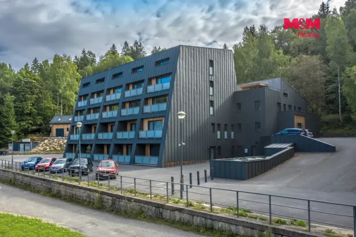 Prodej bytu 1+kk, Janov nad Nisou, 29 m2