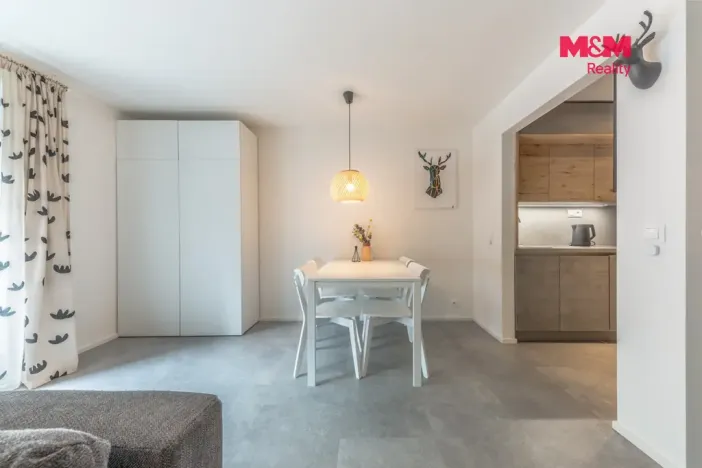Prodej bytu 1+kk, Janov nad Nisou, 29 m2