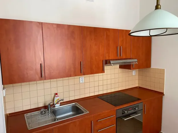Pronájem bytu 1+1, Praha - Vinohrady, Koperníkova, 46 m2