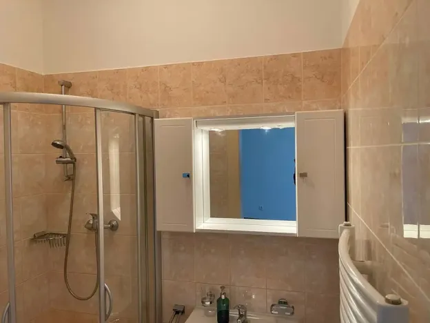 Pronájem bytu 1+1, Praha - Vinohrady, Koperníkova, 46 m2
