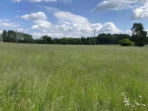 Dražba pole, Planá, 1400 m2