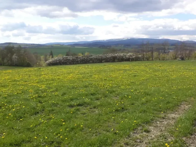 Dražba louky, Staré Město, 10063 m2