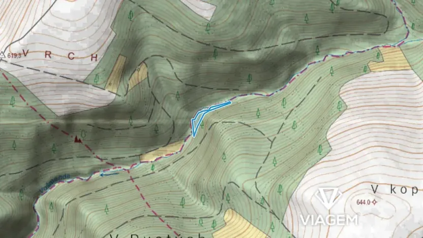 Prodej podílu lesa, Vysoké nad Jizerou, 932 m2