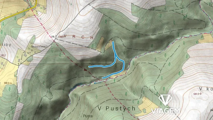 Prodej podílu lesa, Vysoké nad Jizerou, 932 m2