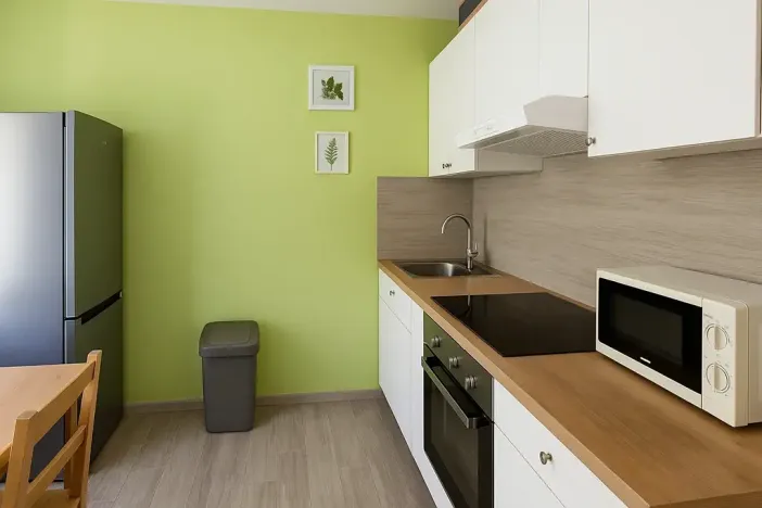 Pronájem bytu 1+1, Chomutov, Kyjická, 33 m2
