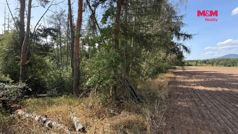 Prodej pole, Úštěk, 8460 m2