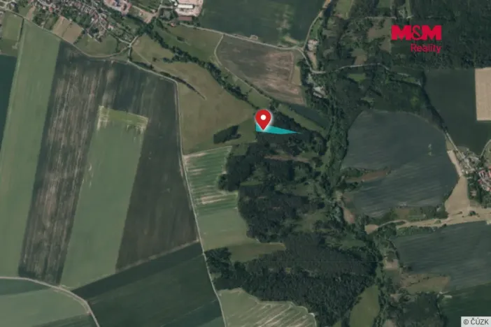 Prodej lesa, Břežany, 5988 m2