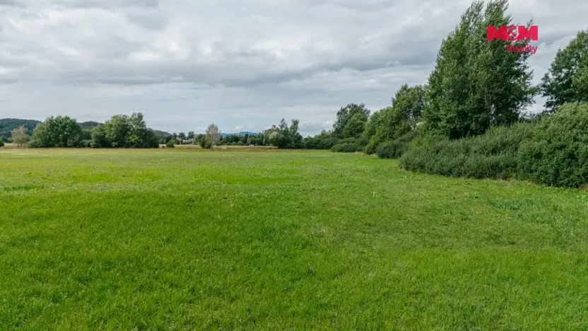 Prodej louky, Jestřebí, 14822 m2