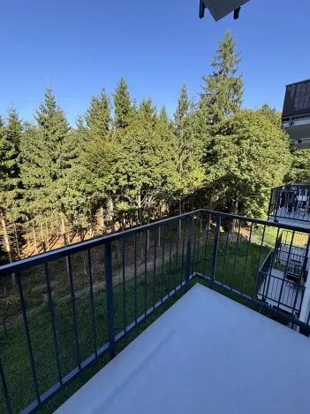 Pronájem bytu 1+kk, Mariánské Lázně, Chebská, 28 m2