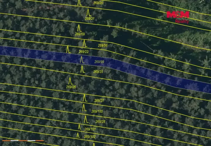Prodej lesa, Břežany, 4230 m2