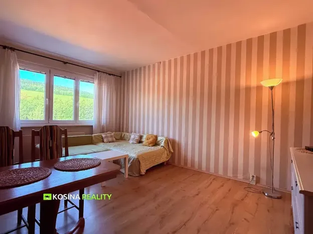 Prodej bytu 1+1, Kraslice, Čs. armády, 37 m2
