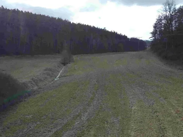 Dražba pole, Horšovský Týn, 385 m2