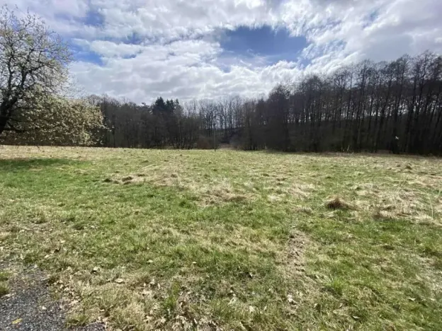 Dražba louky, Jablonné v Podještědí, 692 m2