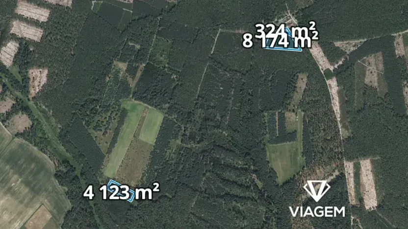 Prodej podílu lesa, Bělá pod Bezdězem, 2524 m2