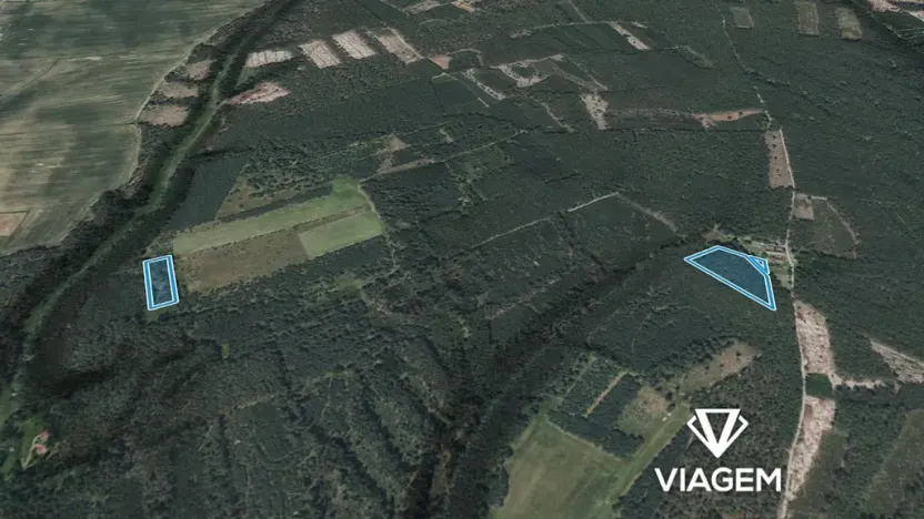 Prodej podílu lesa, Bělá pod Bezdězem, 2524 m2