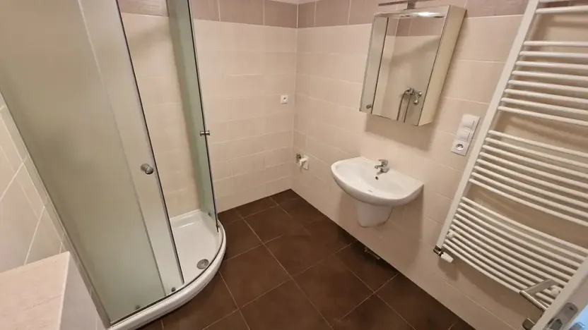 Pronájem bytu 1+kk, Plzeň, Sladová, 42 m2