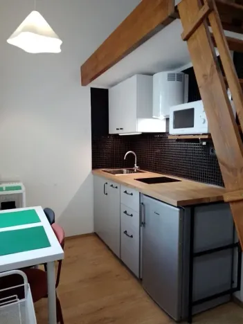 Prodej bytu 1+kk, Praha - Nové Město, Sokolská, 23 m2