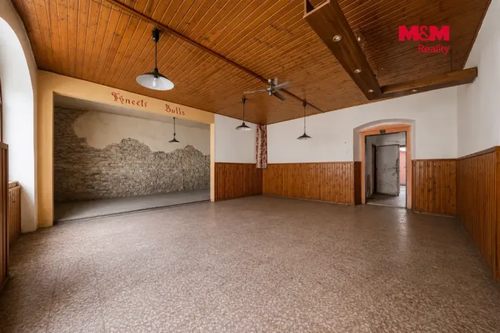 Prodej rodinného domu, Týnec nad Labem, Havlíčkova, 207 m2